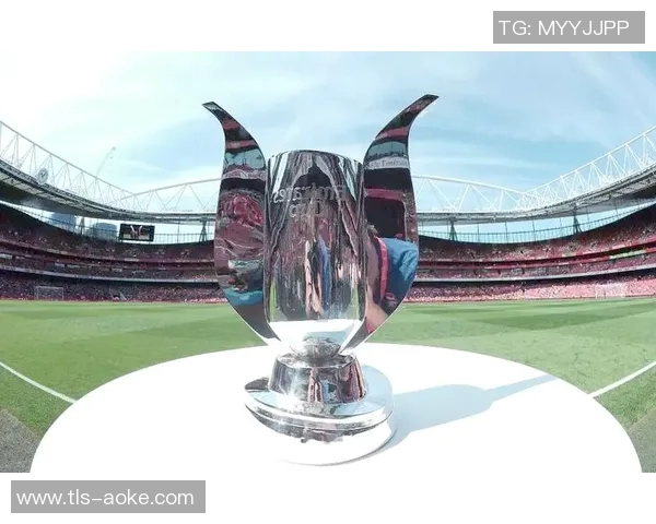 探索inlang足球的魅力与发展潜力助力全球足球文化的交流与融合